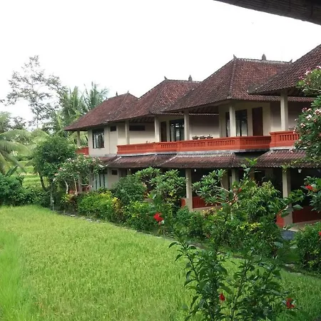 Arjana Bungalows Rice Field