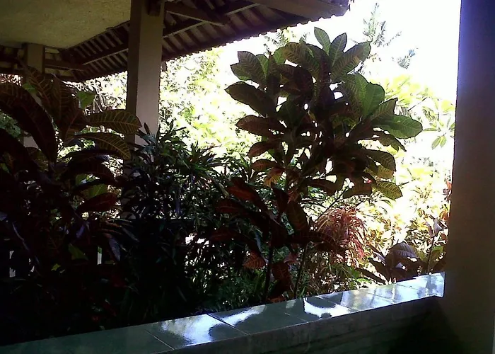 Guest house Arjana Rice Field 2*