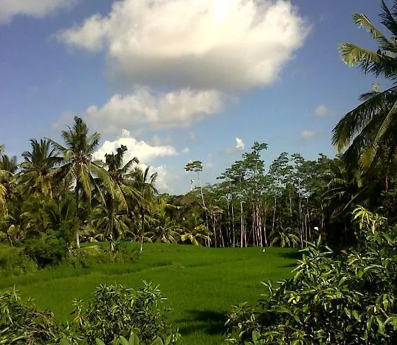 Arjana Rice Field Guest house 2*