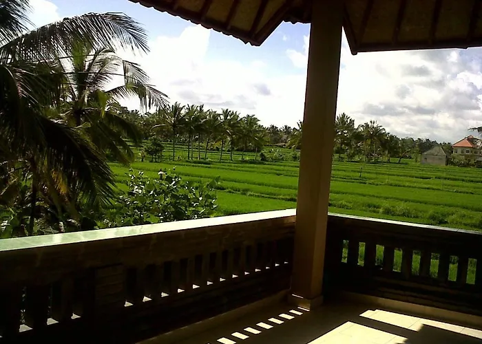 Arjana Rice Field 2* Ubud (Bali)