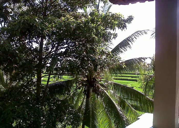 Guest house Arjana Rice Field