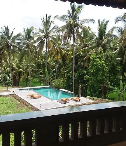 Guest house Arjana Rice Field