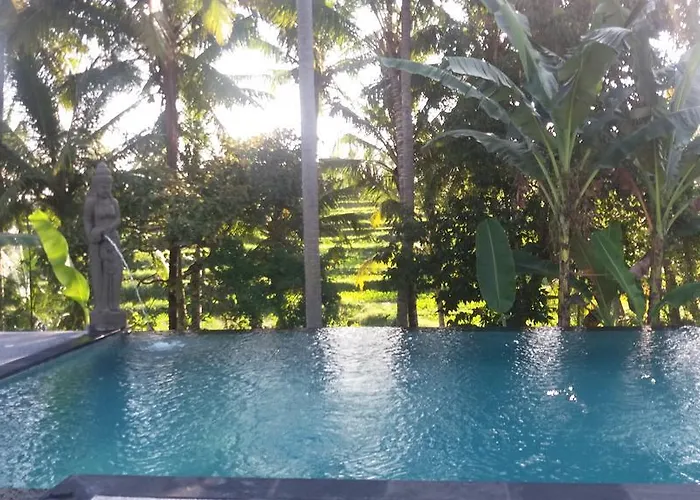Arjana Rice Field Ubud (Bali)