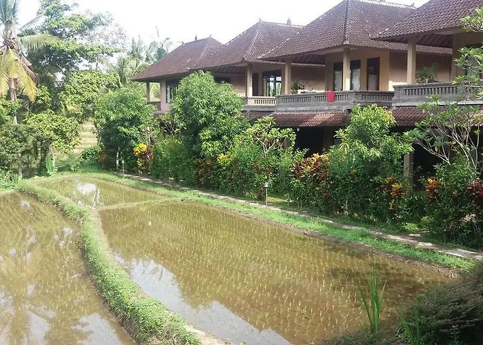 Arjana Rice Field 2* Ubud (Bali)