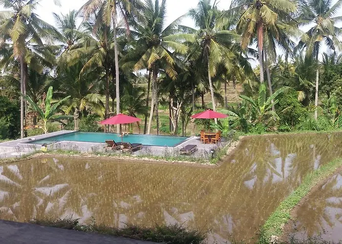 Arjana Rice Field 2* Ubud (Bali)