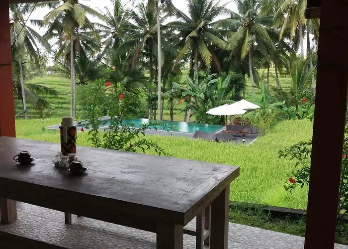 Arjana Rice Field Ubud (Bali)