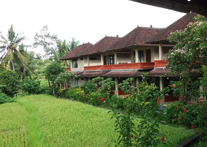 Arjana Rice Field Ubud (Bali)